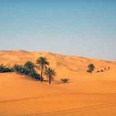 MatthaiOs - Desecheo (Flight 390)