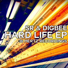 Wanted - SR & Digbee
