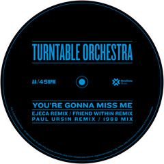 Turntable Orchestra - You're Gonna Miss Me (P.Ursin Remix)[NewState Music]