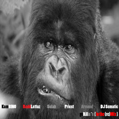GoRilla's {in the (re)mix} w DJ Sematic [Clean]