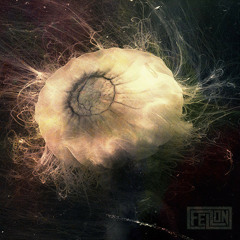 Fellon - Outra Chance