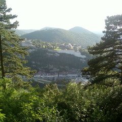 Lamulle-live-Nans sous st anne