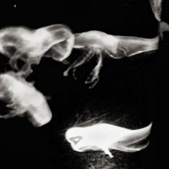 Meaux Green - GANGSTA SHT (Original Mix)