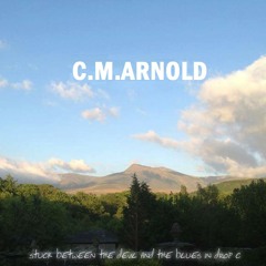 Who lied (Kill Kasper cover)