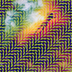 Animal Collective - Daily Routine (Supermassive Wave Remix)