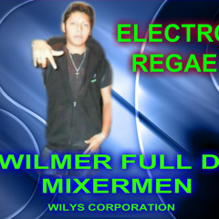ELECTRO REGAE ROMANTICO (la amo). porducCion 2013. WILMER FULL DJ.. vercion unica