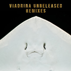 Sivesgaard - In The Night (Viadrina Unreleased Remix)