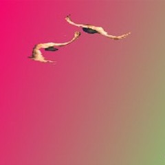 SI TU NO ESTAS AQUI . DE ROXANA