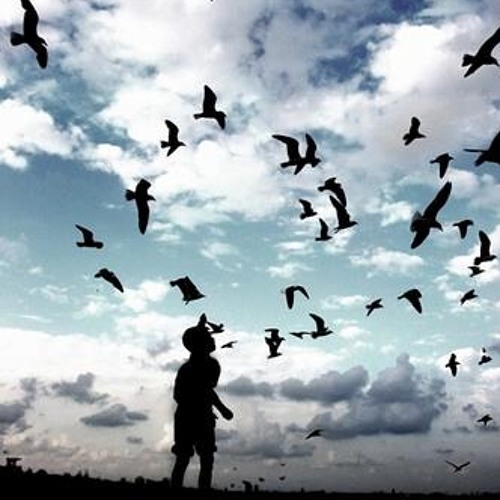 الروح تطمح للعلا .. سارة