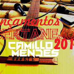 LANÇAMENTOS SERTANEJOS 2013