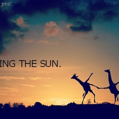 Brian jms' -  dancig the sun (alex eliz-live set)