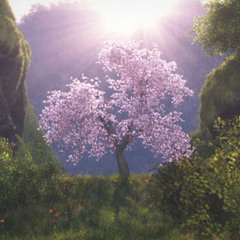 Spätling \\ Loopcast#001 \\ Deep House Set