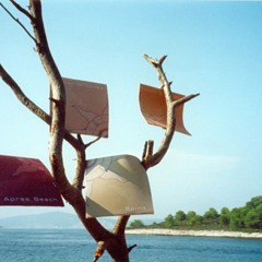 Legendary Carpe Diem Apres Beach 2002  by Benjamin Brighton ★