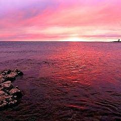 A Sung Homecoming by Amber Agha