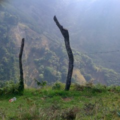 The Path