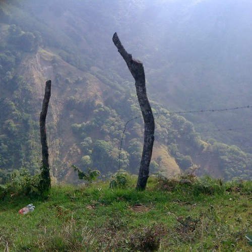 The Path