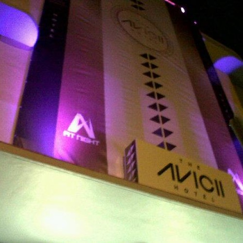 the south beach avicii hotel x