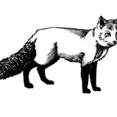 Certainly Half-Heartedly (Improvised Version)