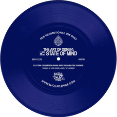 SSR-FLEX2 - Lord Finesse & Davel "Bo" McKenzie - Electric Sensation