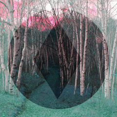 The Almighty Rhombus - Honest Liar