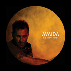 Steve LAWLER - Avaida (The Organ Track) (Dub) /// VIVa MUSiC 2013