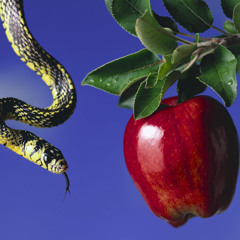 'The Love Serpent' mix
