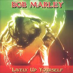 Bob Marley - Lively Up Your Self (remix)