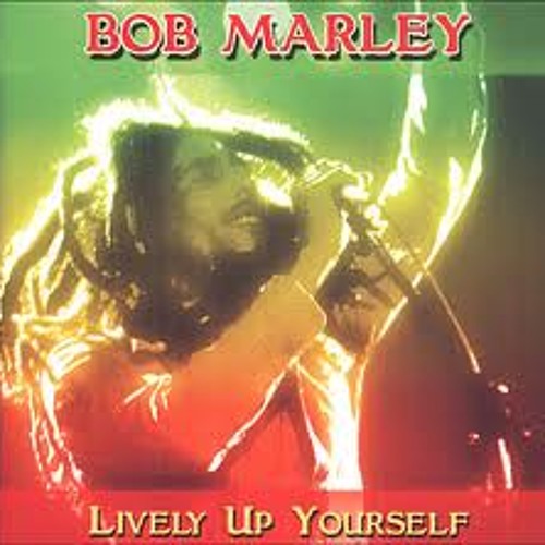Bob Marley - Lively Up Your Self (remix)