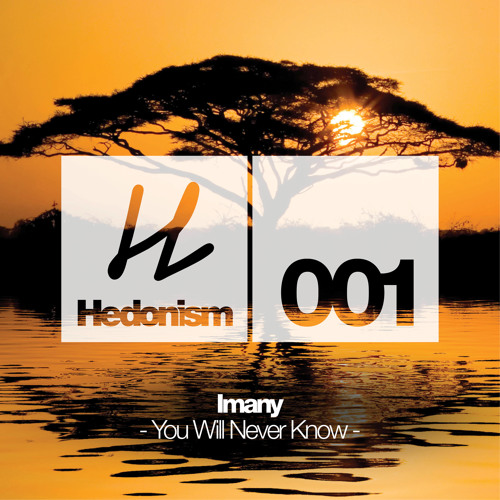 Stream Imany - You Will Never Know (Miguel Campbell & Matt Hughes Remix) by  Hedonism Music | Listen online for free on SoundCloud