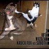 KrucaFux vs Sobota