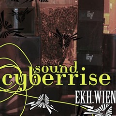 Cyberrise 2013