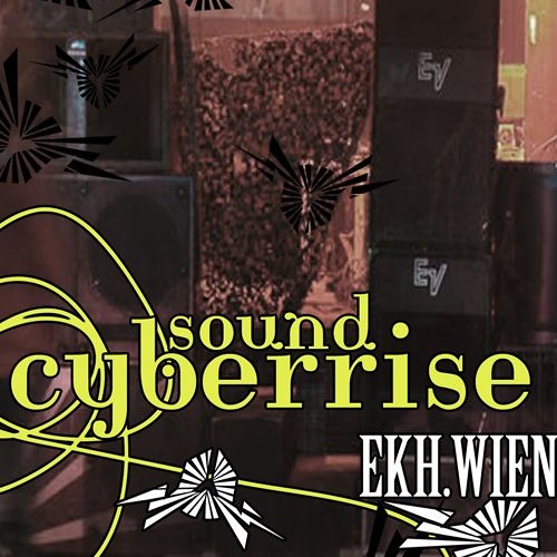 Cyberrise 2013