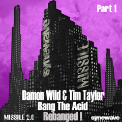 DAMON WILD + TIM TAYLOR - BANG THE ACID REBANGED !  PART ONE MIXES  7 TO 13.  OF 13