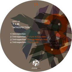 T.I.M. - Introspection (Future 16 Gap View) [ENdgt020]