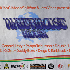 Waterhouse Riddim Promomix! feat. General Levy, Doubla J, Tribuman & more!!