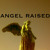 Artwork for Angel Raised