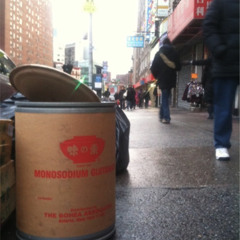 Monosodium Glutamate