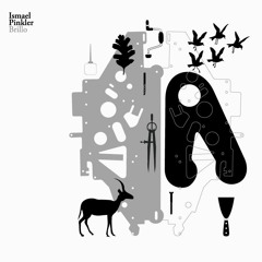 Amplitud (Brillo, 2005)