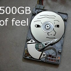 500 gb of FEEL.