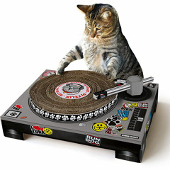 DJ s.R. - EVERYDAY.nonsense.scratchpractice.SCENARIO
