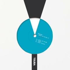 Moodtrap - House Trippin - Tsuba
