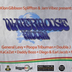 Waterhouse Riddim Promo Mix