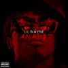 Lil-Wayne-Rich-As-Fuck-I-Am-Not-A-Human-Being-II ft. 2Chains