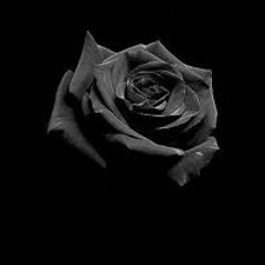 At Your End (Original by J.Banham, M.McCartney & J.Belsey)