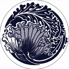 lucidflow