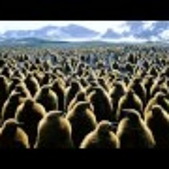 Beatysmooth - Prelude