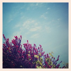 Tears In The Typing Pool