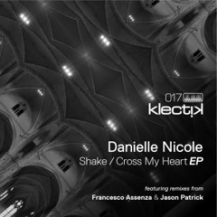 Danielle Nicole - Shake (Francesco Assenza Remix)
