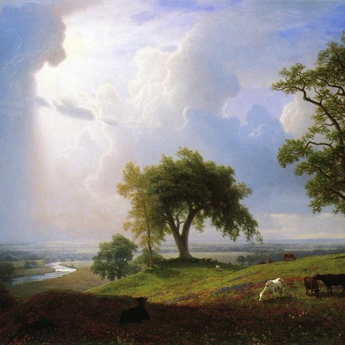 B. Recommends X Radio - EarlySpring (Beau/Fort)