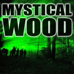 S3LO - Mystical Wood